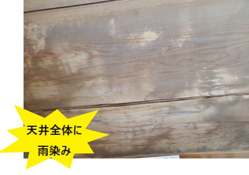 天井全体に雨染みができている　雨漏り